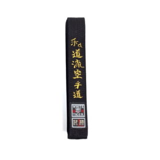 CEINTURE NOIRE WADO RYU KARATE DO