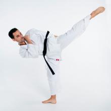 karate gi training lite 2