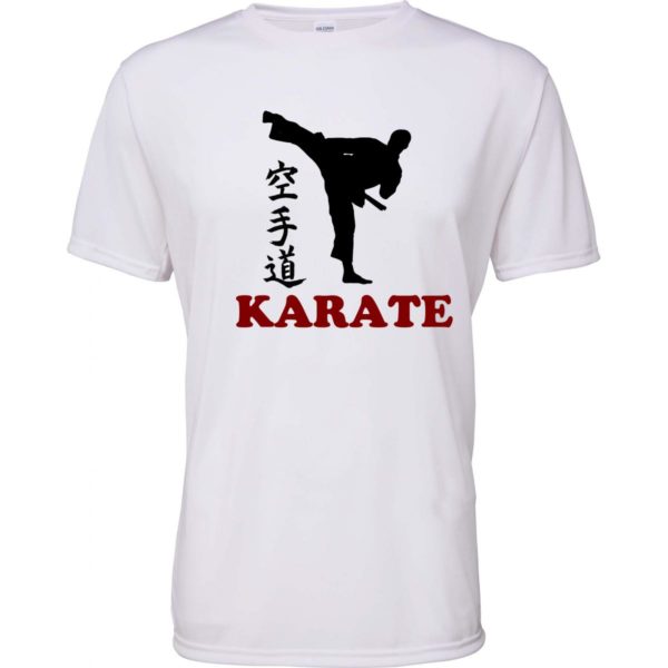 logo karate ts2 2